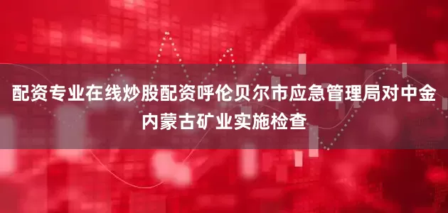 配资专业在线炒股配资呼伦贝尔市应急管理局对中金内蒙古矿业实施检查